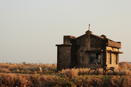 海島人-產業與人文