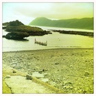 我們安靜地共存