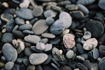 躺在母親海的身邊