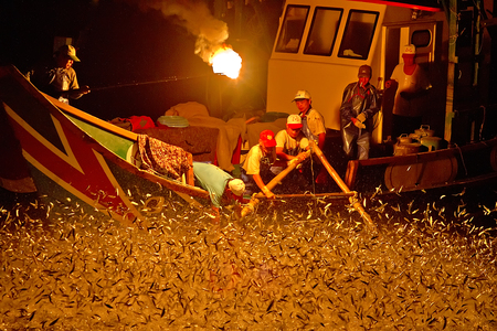 海島人─地景與生態