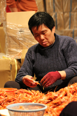 海島人─產業與人文