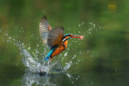 海島人-地景與生態