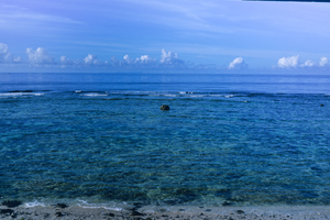 地景與生態組_吳仁凱_05_無題