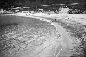 地景與生態組_吳仁凱_02_無題