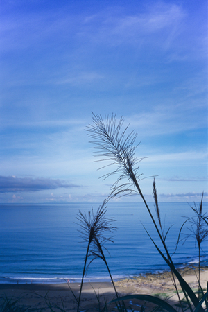 海島人─地景與生態