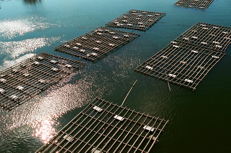 海島人─地景與生態