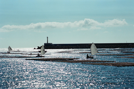 海島人─產業與人文
