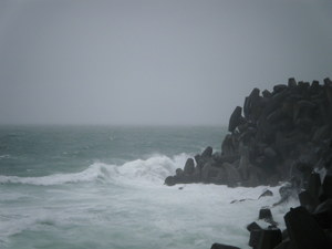 地景與生態_王楷綜_01_怒吼