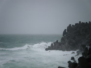 地景與生態_王楷綜_01_怒吼