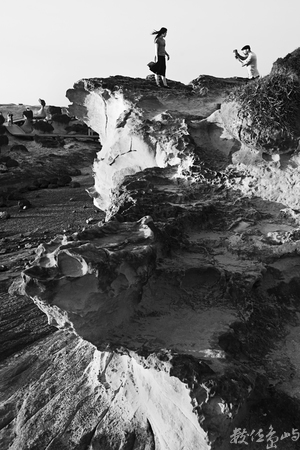 無情荒地有情天