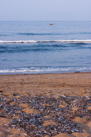 地景與生態組_楊光華_05_海灘奇景