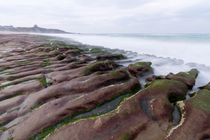地景與生態組_楊光華_03_石槽藻礁