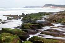 地景與生態組_楊光華_02_石槽藻礁