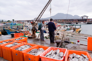 產業與人文組_楊光華_01_滿載而歸