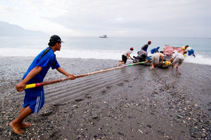 產業與人文組_楊光華_02_接駁漁獲