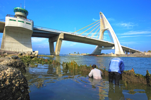 大鵬灣跨海大橋之美