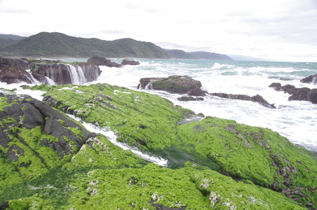 海島人