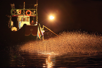 金山的夏日盛宴一