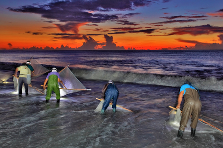 海島人─產業與人文