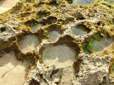 海島人─地景與生態