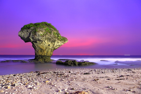海島人─地景與生態