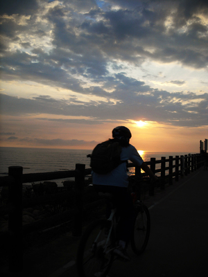 海島人─地景與生態