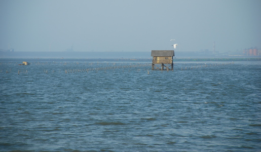 海島人─產業與人文