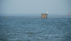 產業與人文組_曾雅欣_04_彰濱高腳屋