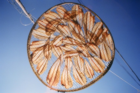 海島人─產業與人文