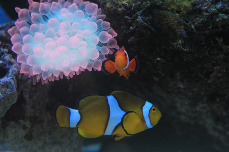 海島人─地景與生態