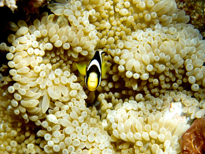 海島人-地景與生態