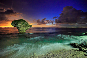 地景與生態組_游正一_01_星光_花瓶岩_浪花