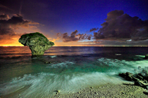 地景與生態組_游正一_01_星光_花瓶岩_浪花