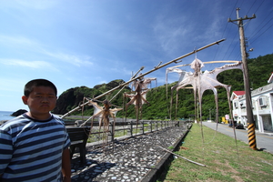 台東縣綠島鄉-章魚旗
