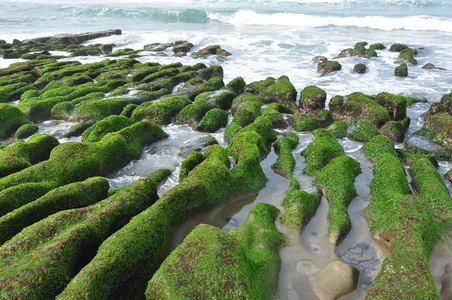 海島人-地景與生態