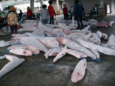 第七屆數位島嶼攝影比賽