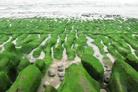 海島人─地景與生態