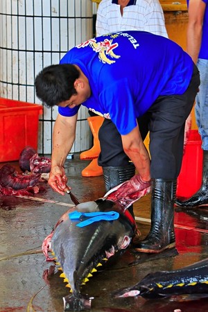 海島人-產業與人文