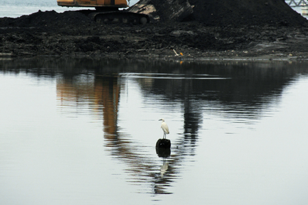 海島人─地景與生態