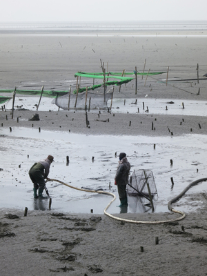 海島人─產業與人文