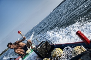海島；海鳥—破