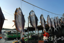 產業與人文組_賴昭旭_03_曬虱目魚