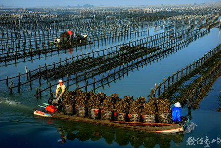 海島人－產業與人文