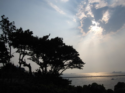 海島人-地景與生態