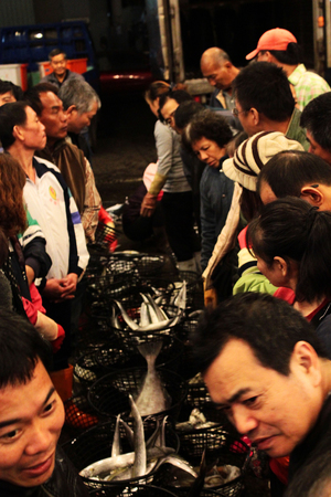 海島人─產業與人文