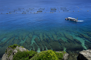 水上養殖場