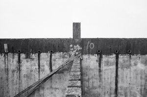 地景與生態組_蔡濟安_02_年久