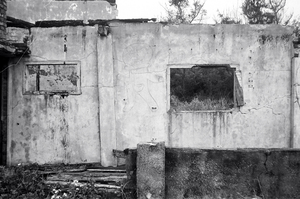 地景與生態組_蔡濟安_02_多拉a夢