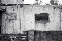 地景與生態組_蔡濟安_02_多拉a夢