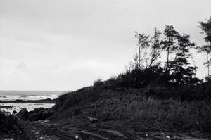 地景與生態組_蔡濟安_02_樹風